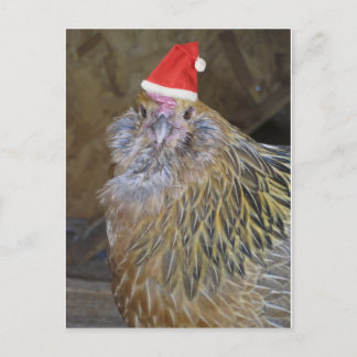 Cartes Pour Fêtes Annuelles Poulet de Noël