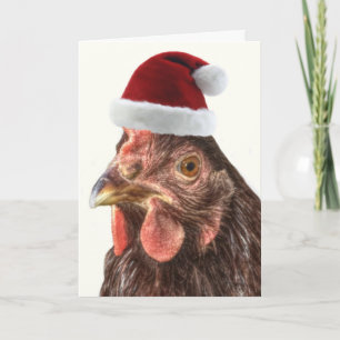 Cartes Pour Fêtes Annuelles Poulet de Noël à Santa Hat