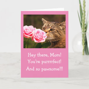 Cartes Pour Fêtes Annuelles Pour Maman Chat Et Fleurs Valentine