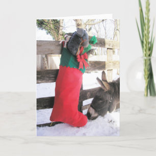 Cartes Pour Fêtes Annuelles "Pour moi ?"