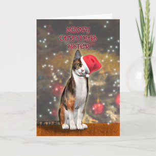 Cartes Pour Fêtes Annuelles Pour Soeur, un chat drôle dans un casquette de Noë