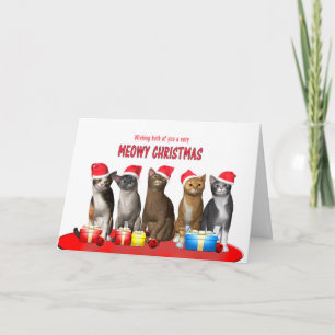 Cartes Pour Fêtes Annuelles Pour vous deux, Chats en casquette de Noël