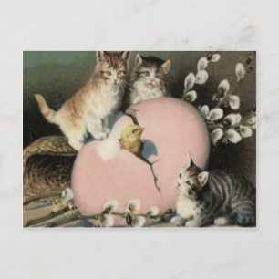 Cartes Pour Fêtes Annuelles Poussin de Pâques Chat Chaton Oeuf Coloré Peint