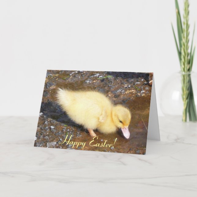 Cartes Pour Fêtes Annuelles Poussin de Pâques, Joyeuses Pâques ! (Devant)