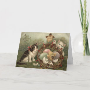 Cartes Pour Fêtes Annuelles Poussin de Pâques Œuf Coloré Peint Chat