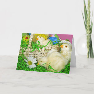 Cartes Pour Fêtes Annuelles Poussins de Pâques avec oeufs
