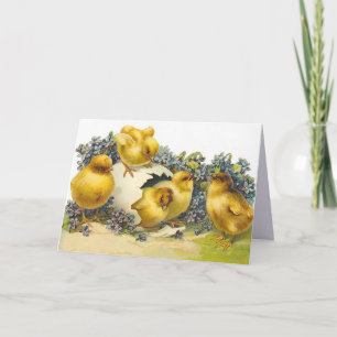 Cartes Pour Fêtes Annuelles Poussins de Pâques et ne m'oublient pas