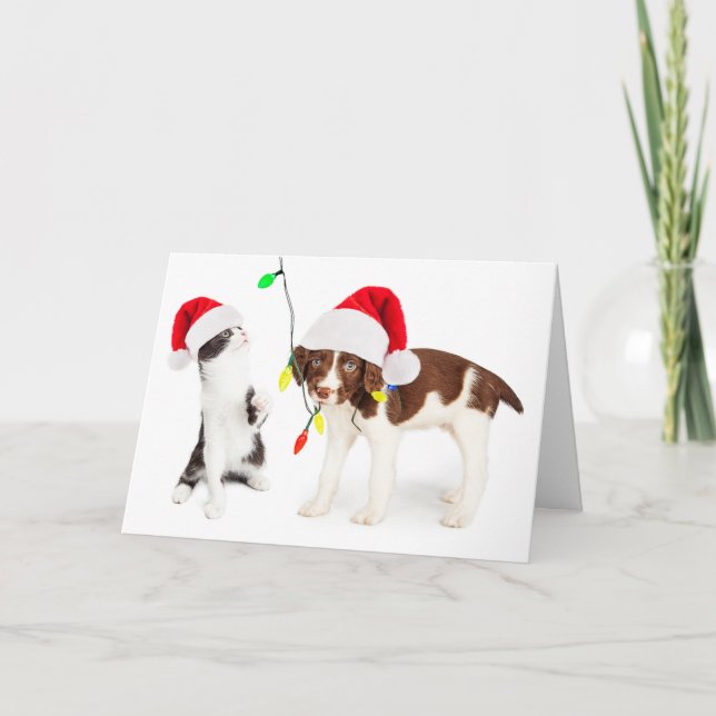 Cartes Pour Fêtes Annuelles Préjudice d'animal familier de vacances (Devant)