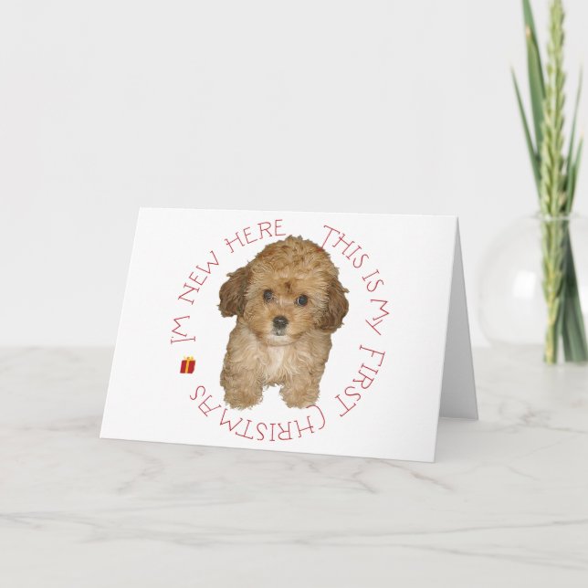 Cartes Pour Fêtes Annuelles Premier Noël de chiot Cavachon (Devant)