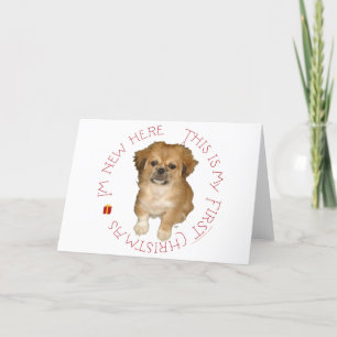 Cartes Pour Fêtes Annuelles Premier Noël de chiot Pékinois