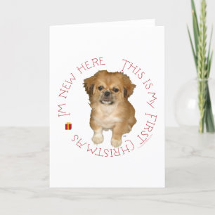 Cartes Pour Fêtes Annuelles Premier Noël d'un chiot Pékinois