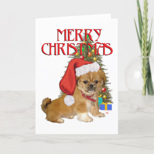 Cartes Pour Fêtes Annuelles Premier Noël d'un chiot Pékinois