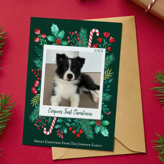 Cartes Pour Fêtes Annuelles Première photo de Noël du chiot vert foncé