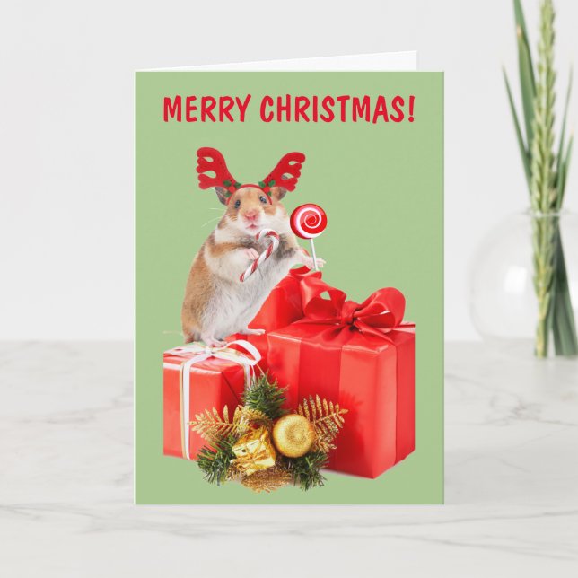Cartes Pour Fêtes Annuelles Présentations Hamster Et Noël (Devant)