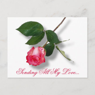 Cartes Pour Fêtes Annuelles Pretty pink single rose