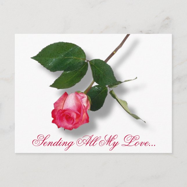 Cartes Pour Fêtes Annuelles Pretty pink single rose (Devant)