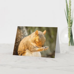 Cartes Pour Fêtes Annuelles Priez Pour Vous Écureuil Avec Les Yeux Fermés