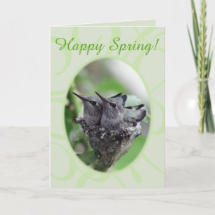 Cartes Pour Fêtes Annuelles Printemps heureux   Colibris en photo de nid  