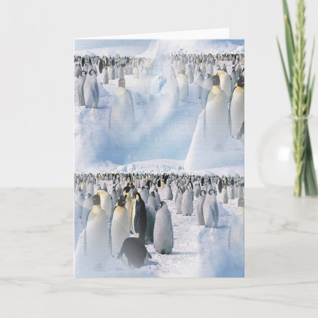 Cartes Pour Fêtes Annuelles Produits de pingouin (Devant)