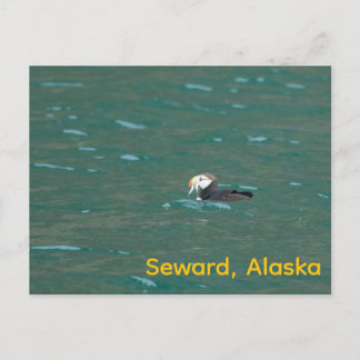 Cartes Pour Fêtes Annuelles Puffin mangeant du poisson