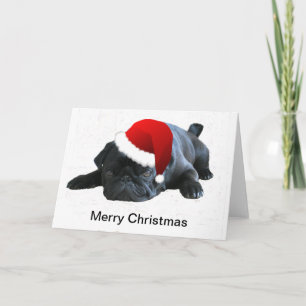 Cartes Pour Fêtes Annuelles Pug Christmas Card