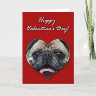 Cartes Pour Fêtes Annuelles Pug Valentines