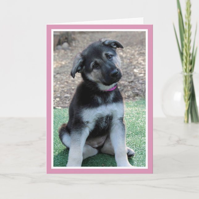 Cartes Pour Fêtes Annuelles Puppy Be My Valentine (Devant)