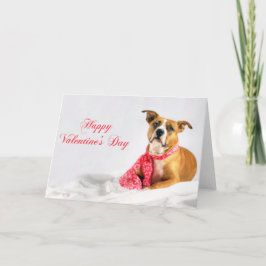 Cartes Pour Fêtes Annuelles Puppy Happy Valentines Day