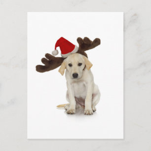 Cartes Pour Fêtes Annuelles Puppy with Santa Hat and Reindeer Ears