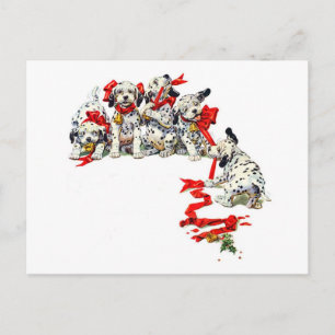 Cartes Pour Fêtes Annuelles Pups dalmate de vacances
