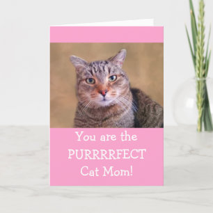 Cartes Pour Fêtes Annuelles Purrfect Chat Fête de la Mère de maman