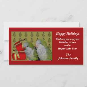 Cartes Pour Fêtes Annuelles Quaker Parrots Animal Christmas Card