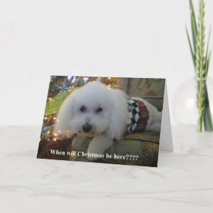 Cartes Pour Fêtes Annuelles "Quand Noël sera-t-il ici ? ? "