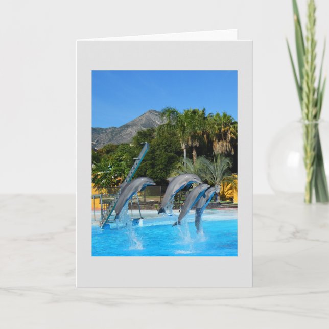 Cartes Pour Fêtes Annuelles Quatre dauphins sauteurs (Devant)