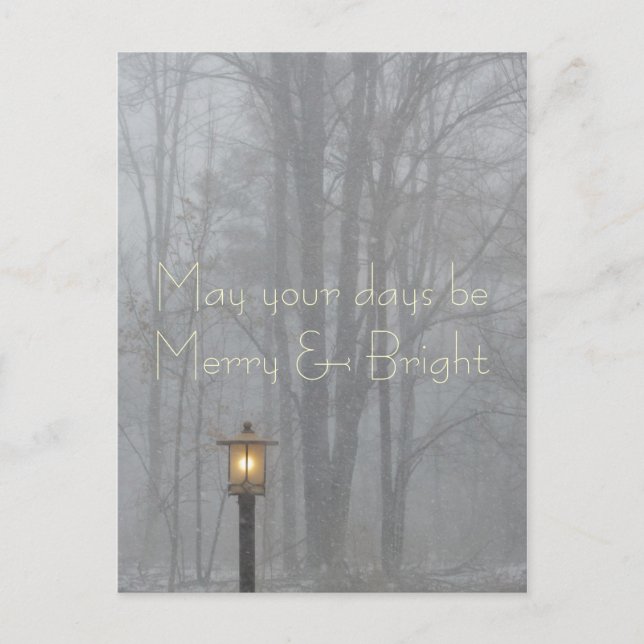 Cartes Pour Fêtes Annuelles Que vos jours soient Joyeux et Joyeux Fêtes (Devant)
