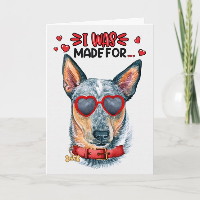Cartes Pour Fêtes Annuelles Queensland Heeler Chien Vous Aimant Valentine (Devant)