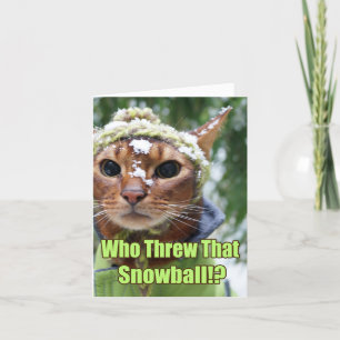 Cartes Pour Fêtes Annuelles Qui a jeté ce Snowball ! ?