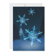 Qu'il neige