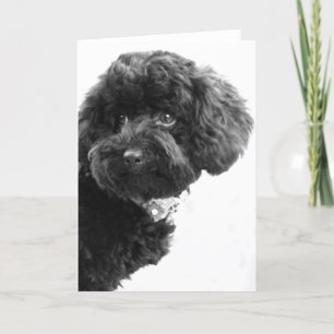 Cartes Pour Fêtes Annuelles Quoi ?