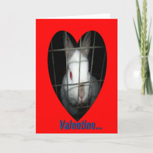 Cartes Pour Fêtes Annuelles Rabbit Valentine