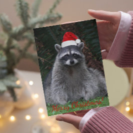 Cartes Pour Fêtes Annuelles Raccoon de Noël à Santa Hat Photo