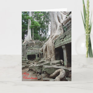 Cartes Pour Fêtes Annuelles Racines d'arbre aux ventres Phrom