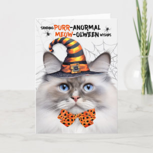 Cartes Pour Fêtes Annuelles Ragdoll Lilac Point Chat PURRanormal MEOWolween