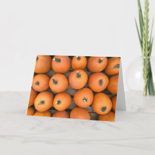 Cartes Pour Fêtes Annuelles Rangs de citrouilles