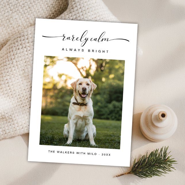 Cartes Pour Fêtes Annuelles Rarement Calme Toujours Bright Cute Chien Photo No (Créateur téléchargé)