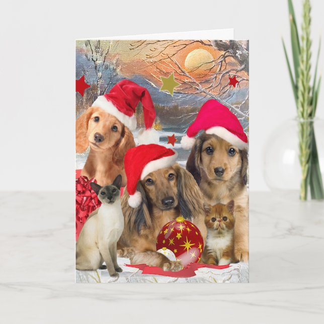 Cartes Pour Fêtes Annuelles Rassemblement de teckel et de Noël d'amis (Devant)