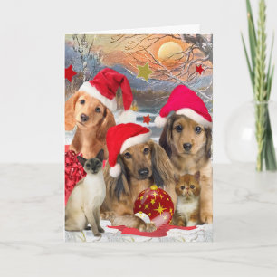 Cartes Pour Fêtes Annuelles Rassemblement de teckel et de Noël d'amis