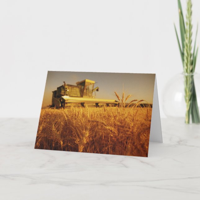 Cartes Pour Fêtes Annuelles Récompenser (Devant)