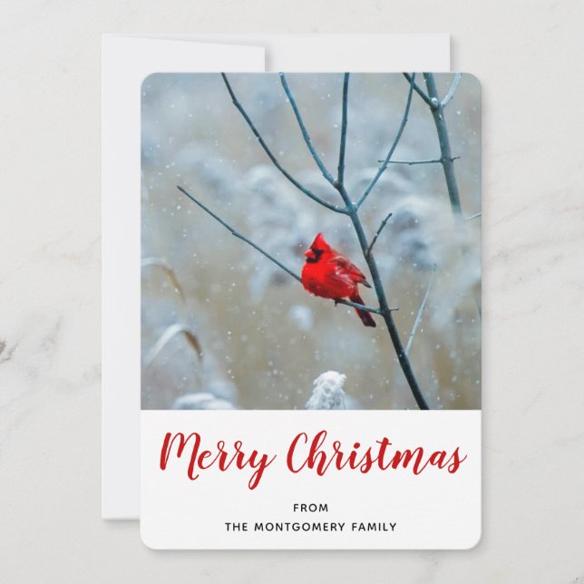 Cartes Pour Fêtes Annuelles Red Cardinal dans Winter Nature Photo de Christmas (Devant)