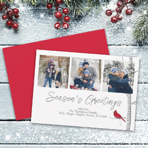 Cartes Pour Fêtes Annuelles Red Cardinal Woodland Winter Tree Multi 3 Photo